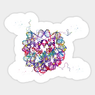 DNA Crystal Structure Sticker
